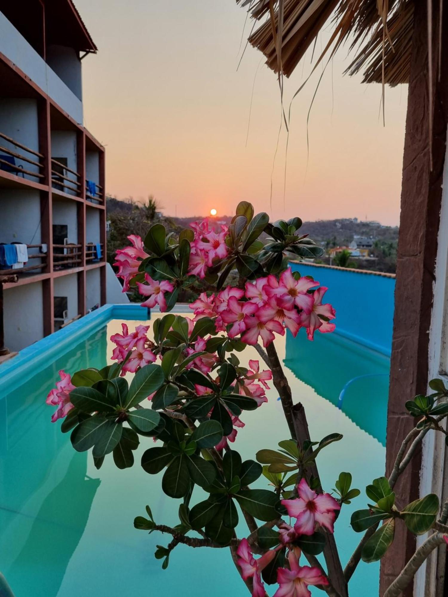 Namaste Zipolite Suites Buitenkant foto